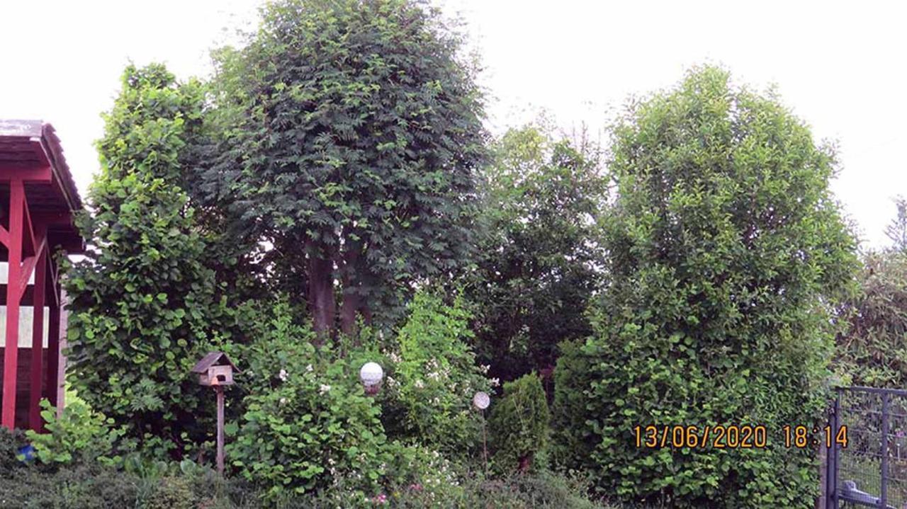 Casa Roja Villa Hilders Exterior foto